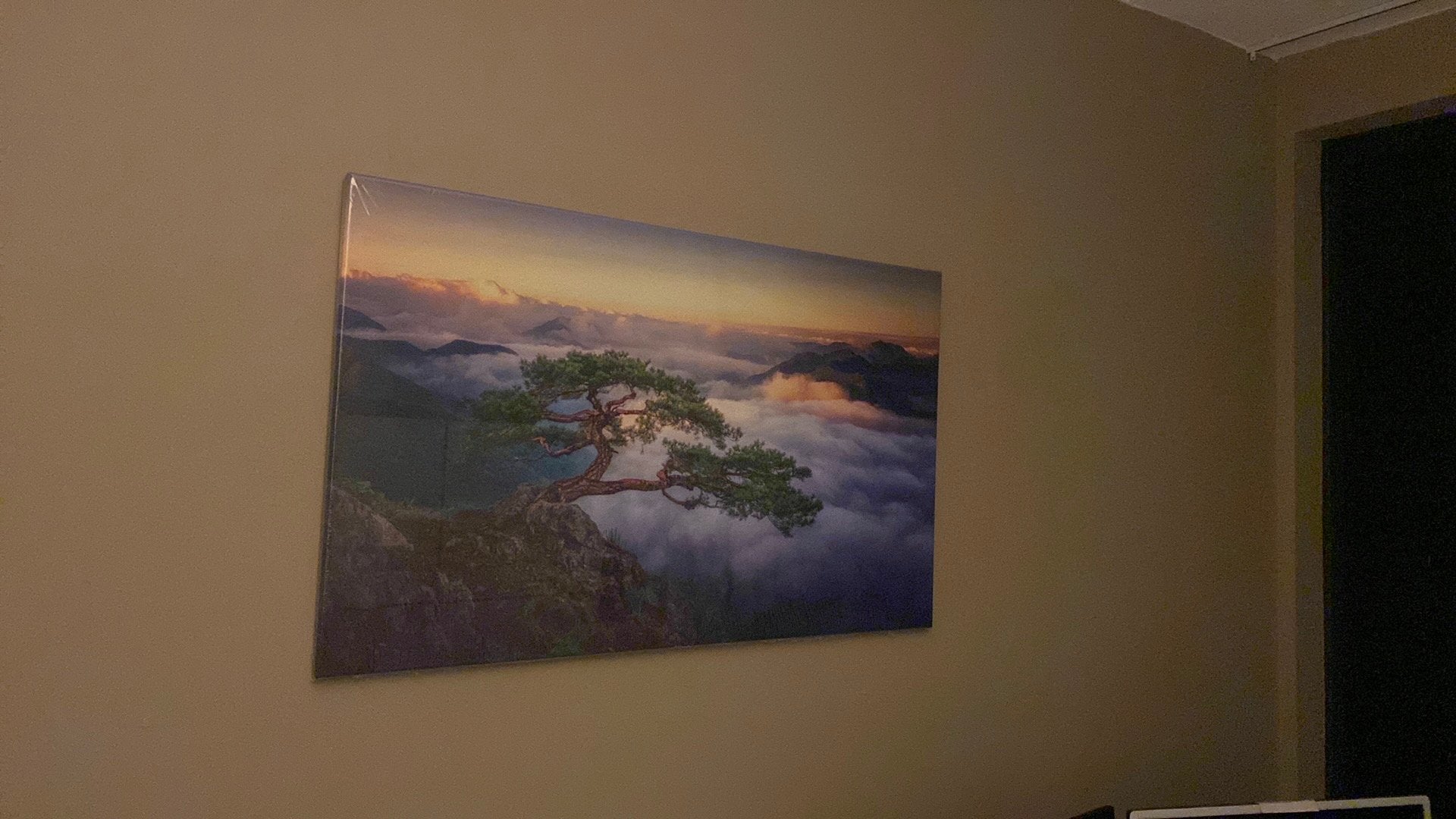 Canvas 90*55 cm, boom in de bergen, Ophalen
