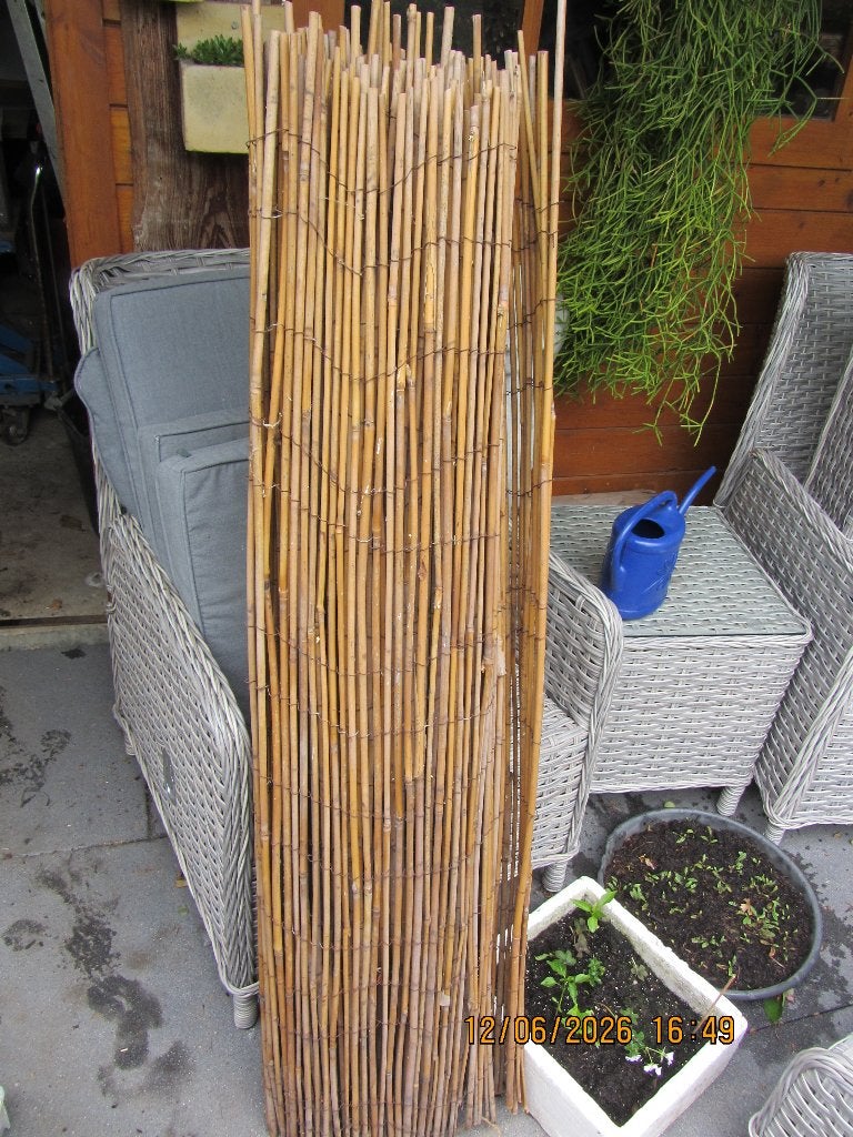 bamboescherm, Tuin en Terras, Ophalen, Minder dan 3 meter, Hout, 1 tot 2 meter