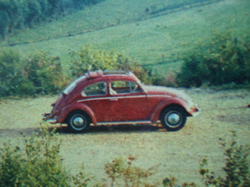 Unieke afbeelding Kever en Peugeot 403 in lijst juni 1964, Verzenden, Zo goed als nieuw, Auto's