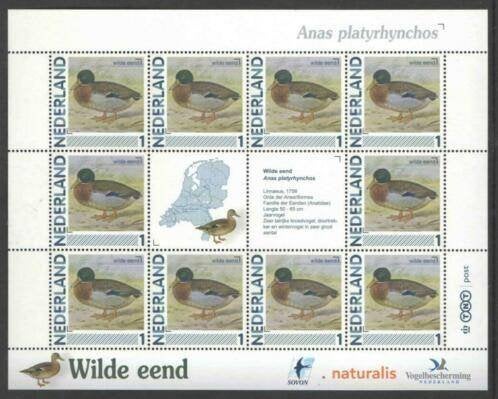 Vogels in Nederland Vel Wilde eend, Ophalen of Verzenden, Postfris