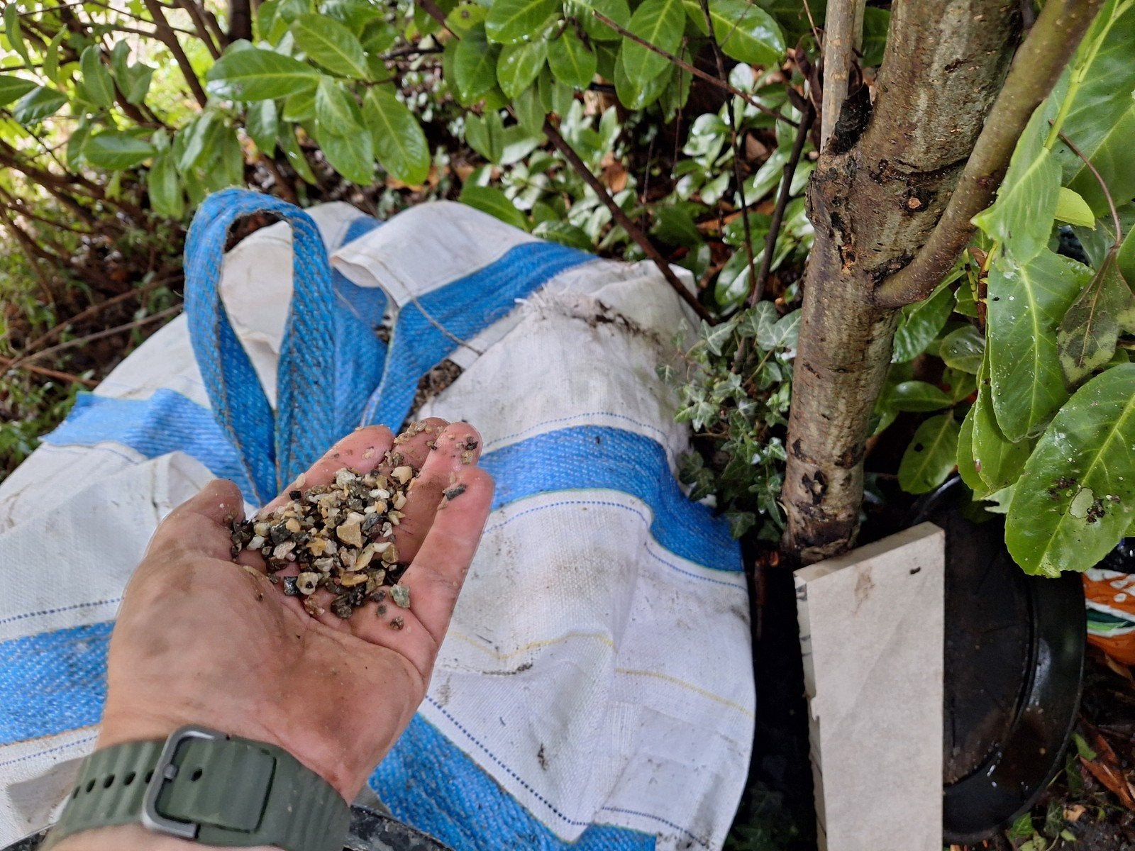 400 kg Moraine split 2-8 mm in big bag, Tuin en Terras, Ophalen, Overige materialen, Nieuw, Split