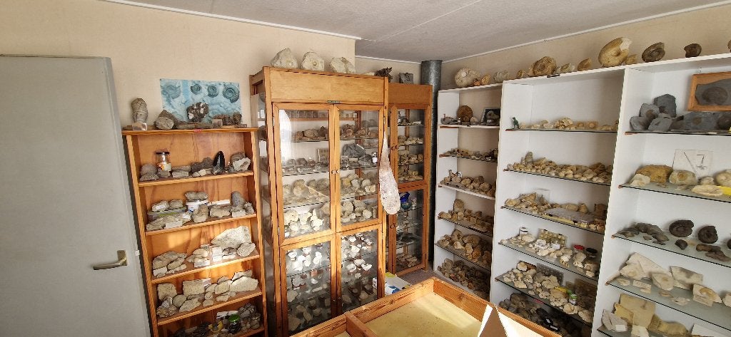 Uitgebreide fossielenverzameling - Vraag naar foto's, Verzamelen, Mineralen en Fossielen, Ophalen, Fossiel