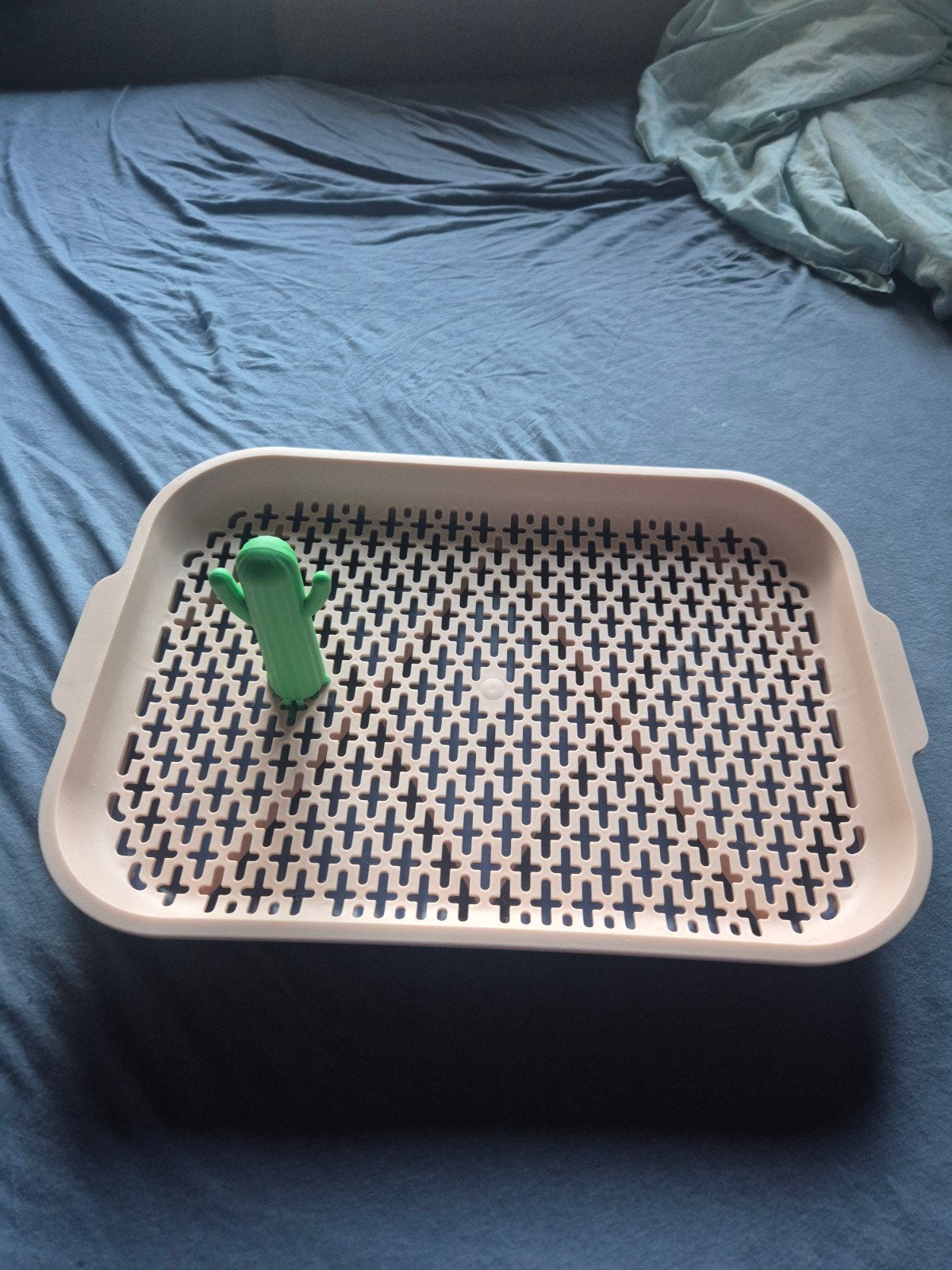 puppy toilet, Ophalen of Verzenden, Nieuw