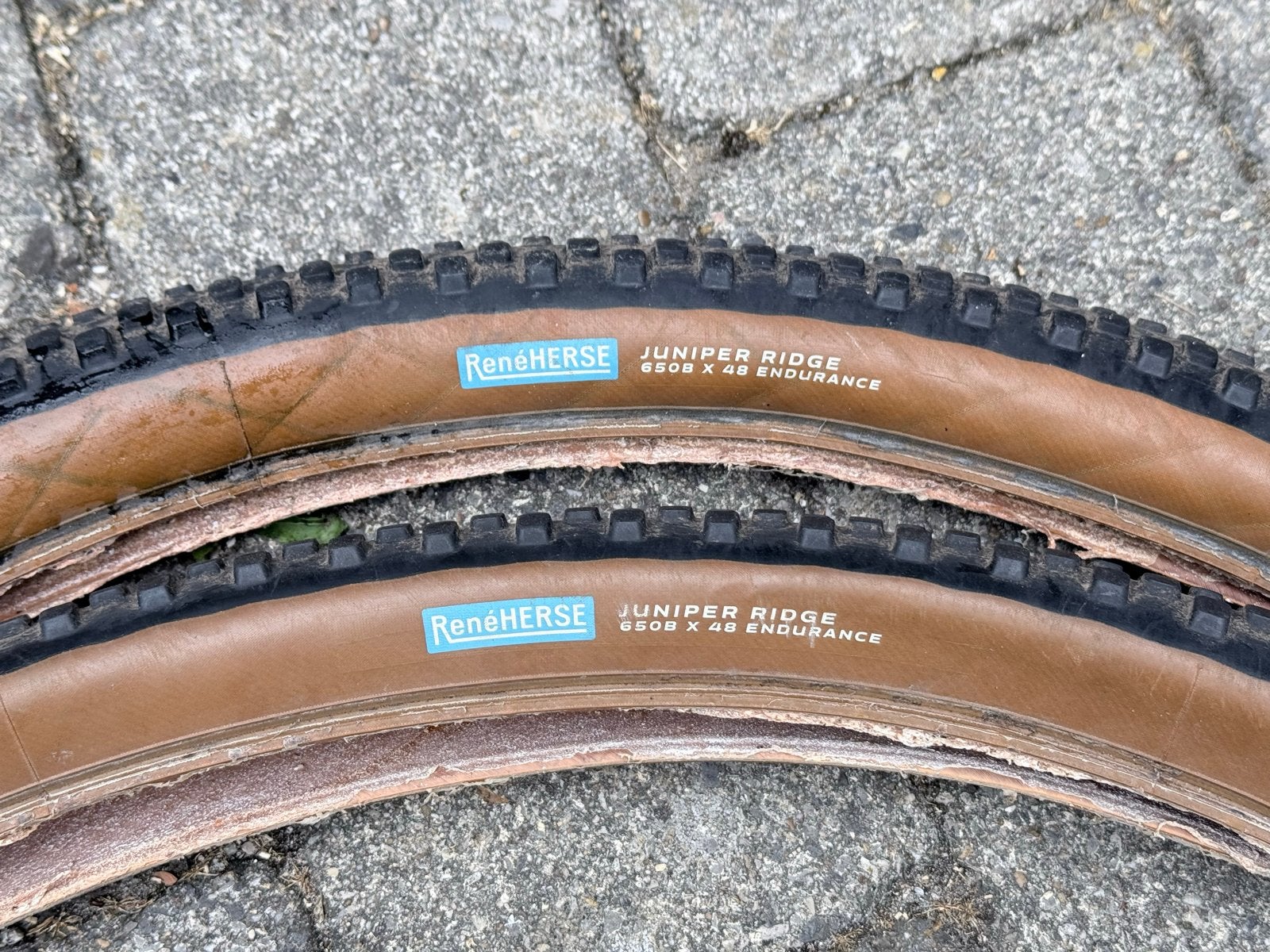 René Herse Juniper Ridge 650B x 48 Endurance bandenset, Gebruikt, Band, Ophalen of Verzenden, Gravelbike