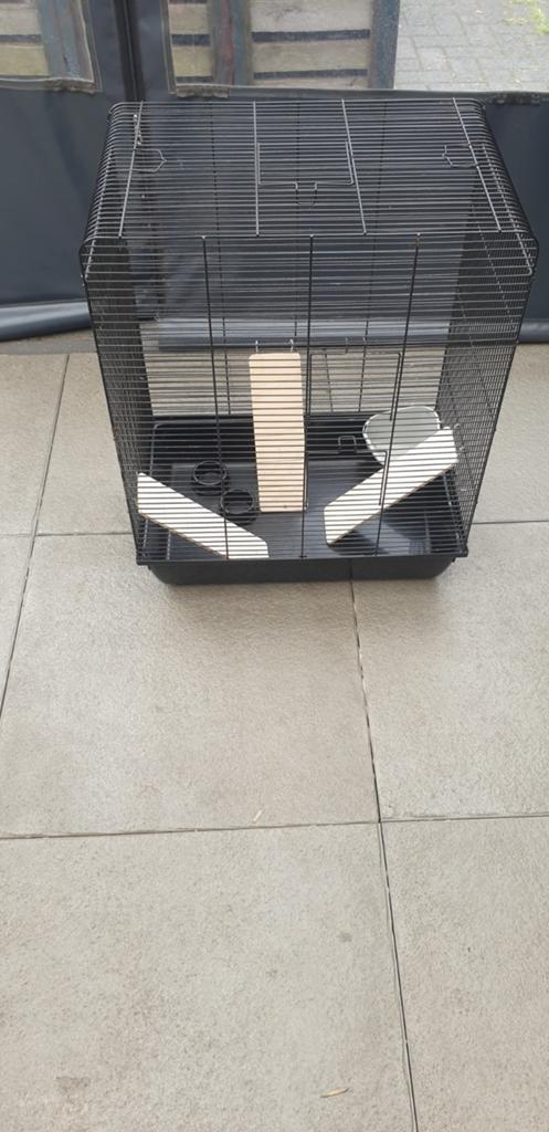 Knaagdieren kooi met trappetjes, voerbakje's en hoektoilet, Kooi, Gebruikt, Muis, Ophalen