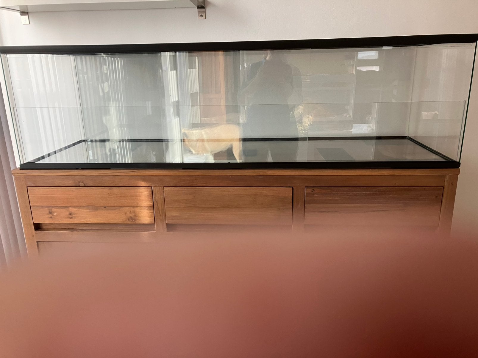 Gerbil hamster terrarium, Cavia, 110 cm of meer, Overige typen, Zo goed als nieuw