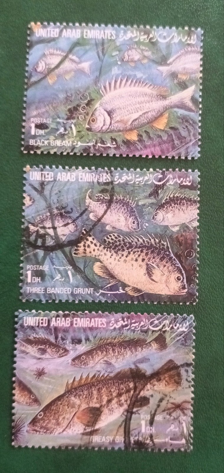 UAE 1991 ,3 pzs gulf vissen, Verzenden, Gestempeld, Midden-Oosten