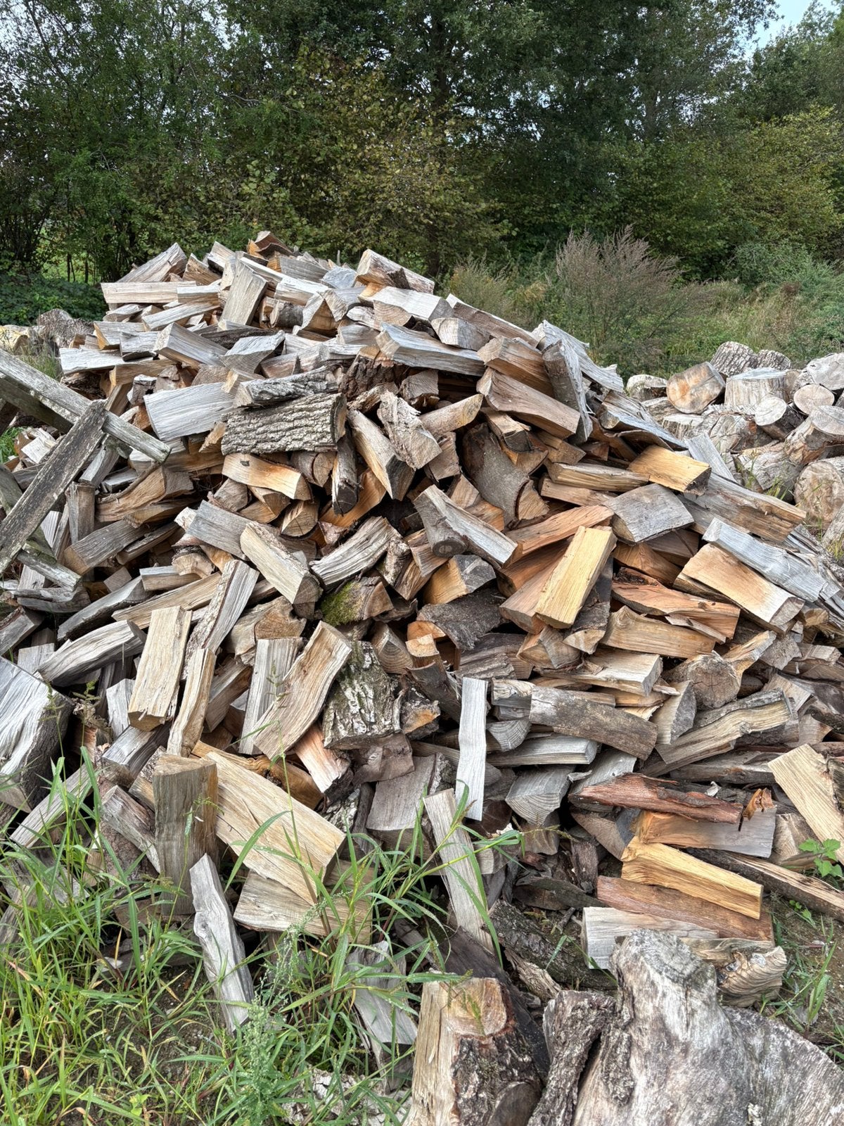 Eiken / beuken / berken hout te koop, Ophalen of Verzenden