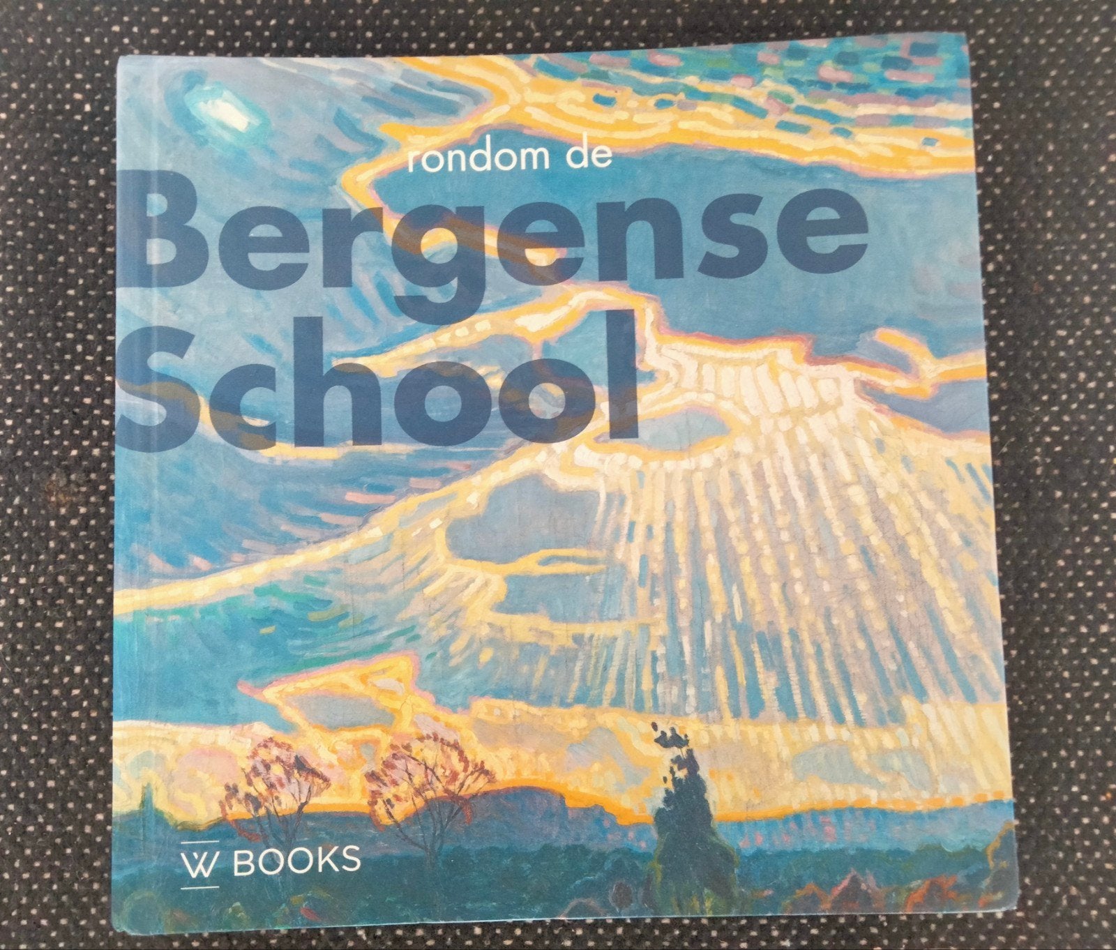 Rondom de Bergense School - Kunstboek, Ophalen of Verzenden, Zo goed als nieuw, Schilder- en Tekenkunst, Onbekend