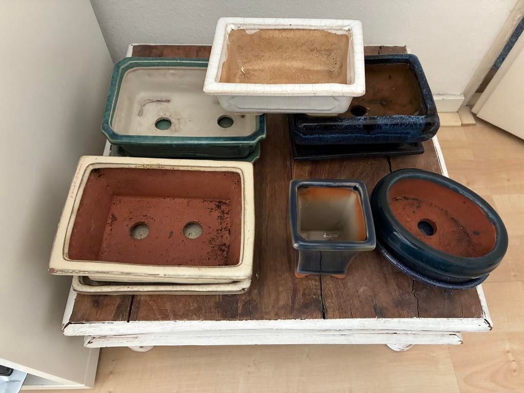 6 Bonsai schaaltjes 4 met schotel, Ophalen, Rond, Aardewerk, Minder dan 40 cm