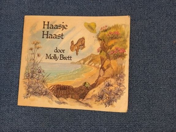 haasje haast- molly brett prentenboek uit 1978, Boeken, Kinderboeken | Kleuters, Ophalen of Verzenden, Gelezen, Fictie algemeen