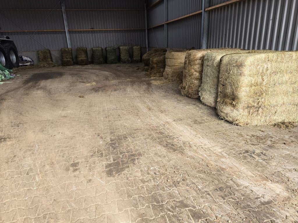 Paardenhooi Met Analyse - Verpakte Balen 500/600kg, Dieren en Toebehoren, Dierenvoeding, Ophalen, Vee