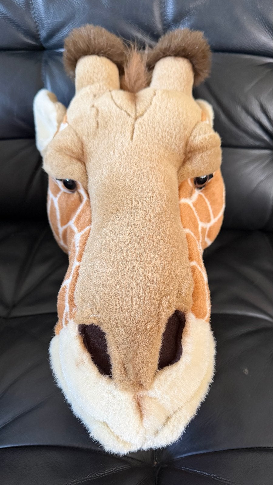 Muurdecoratie Giraffe Hoofd - BiBIB & Co, Overige merken, Giraf, Ophalen of Verzenden, Middelgroot (20 tot 80 cm)
