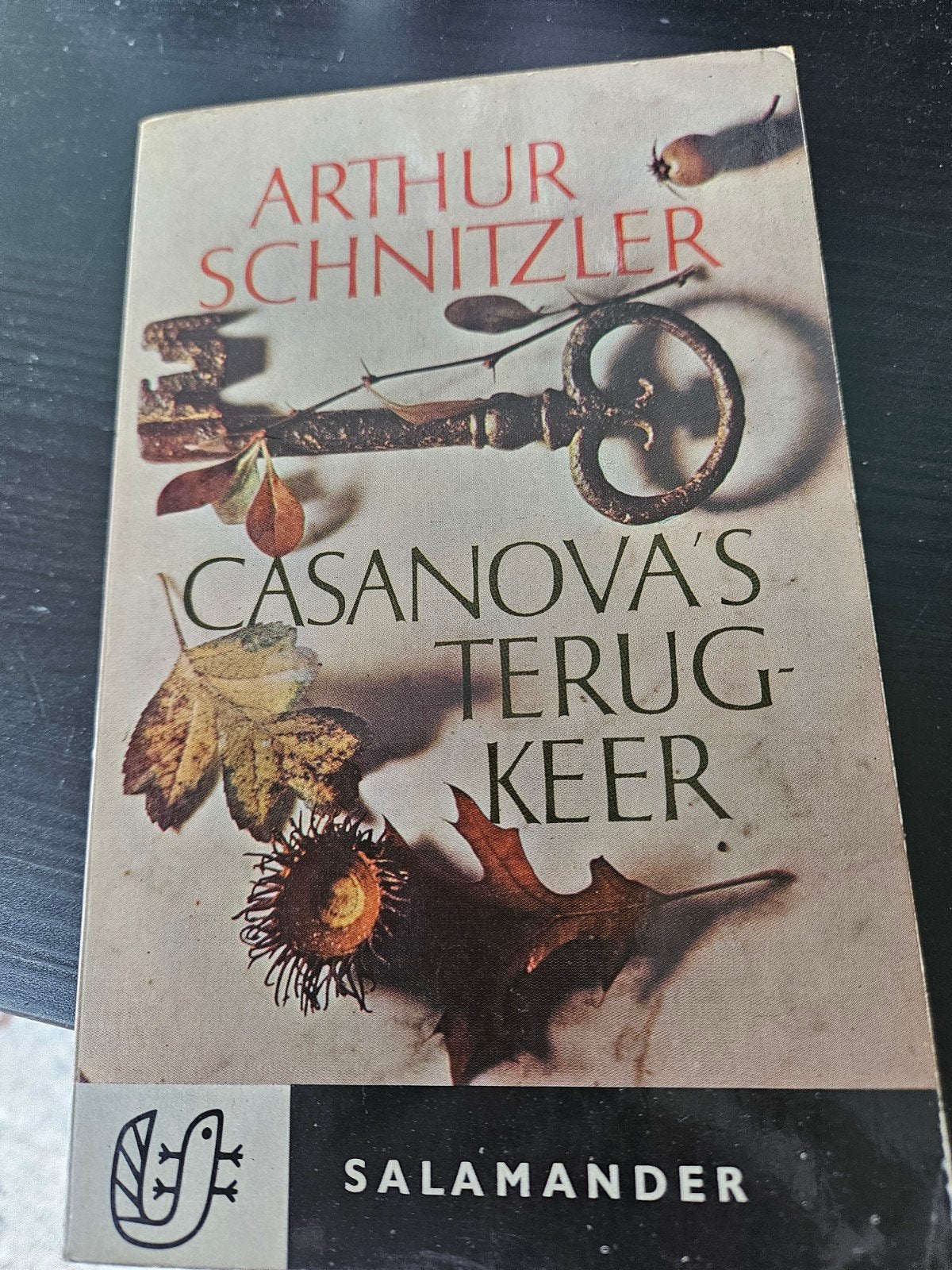 Casanova's Terugkeer - Arthur Schnitzler (Salamander), Ophalen of Verzenden, Gelezen, Arthur Schnitzler, Nederland