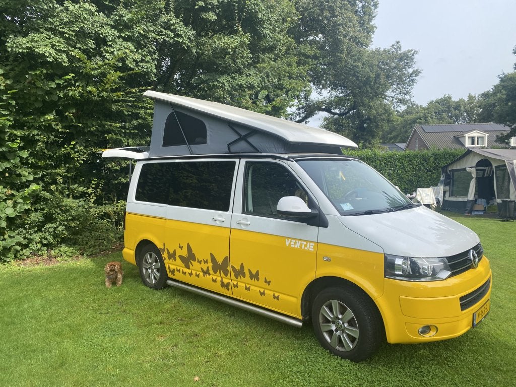Volkswagen t5 Ventje (1063146), Luifel, Volkswagen, Koelkast, Particulier