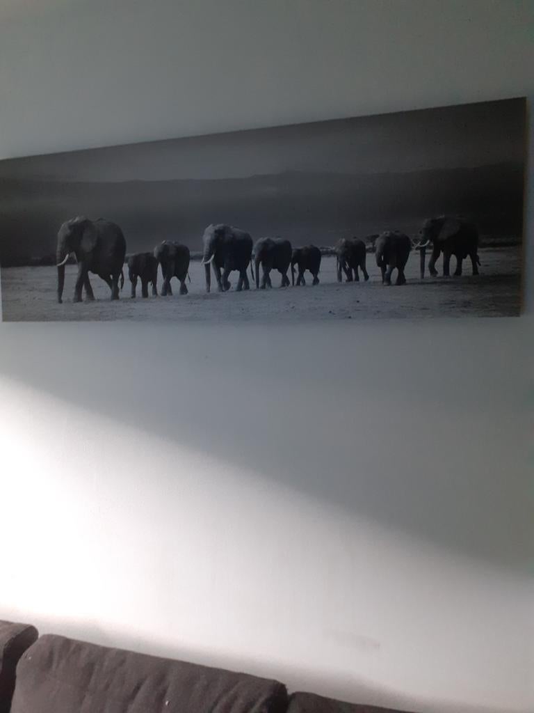 Schilderij olifanten, Ophalen, Zo goed als nieuw, Schilderij