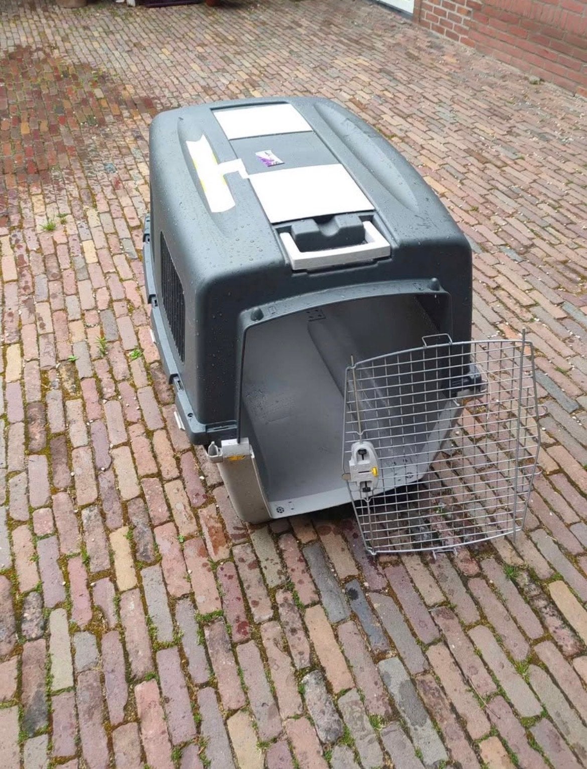 Dog crate XXL, Ophalen of Verzenden, Nieuw