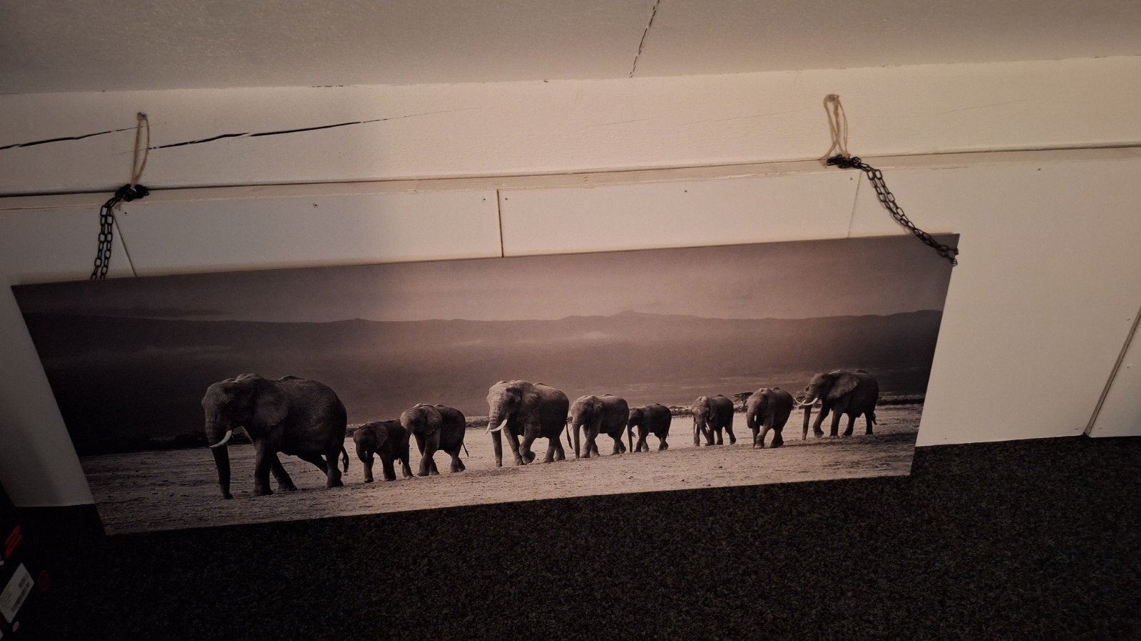 Schilderij, Ophalen, Dieren