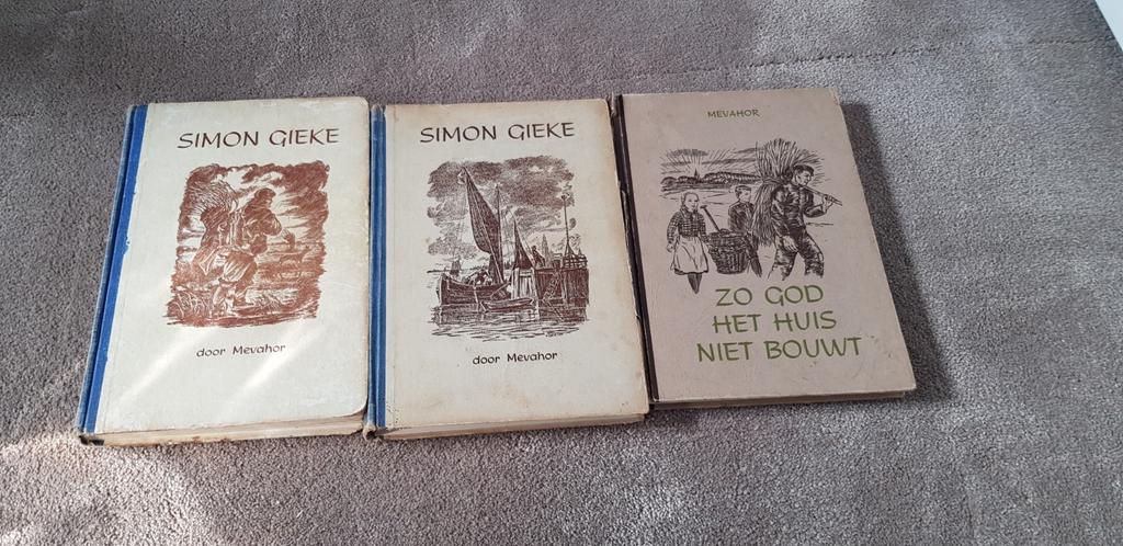 Geschreven: Mevahor, Ophalen of Verzenden, Zo goed als nieuw, Christendom | Protestants