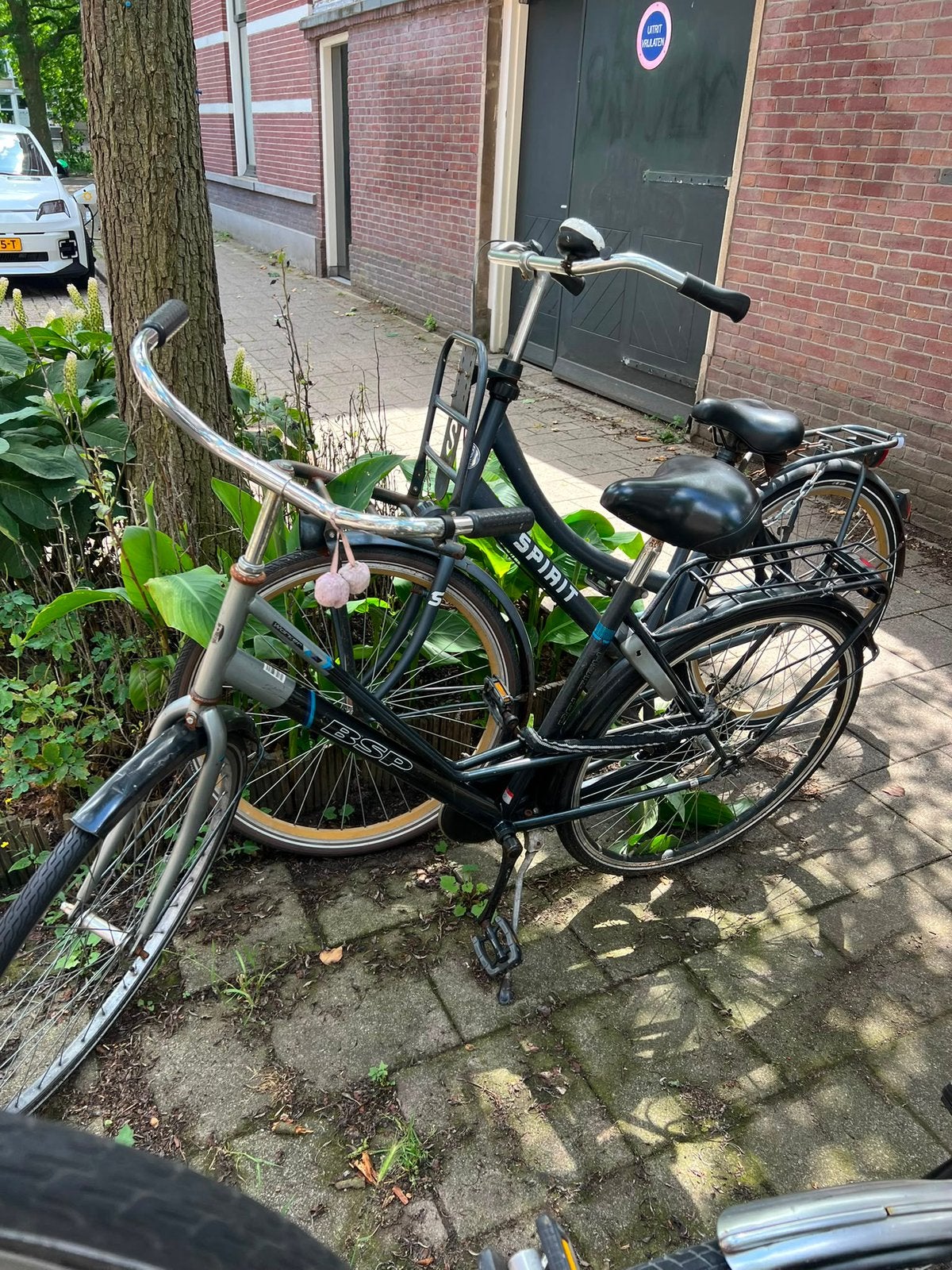 Prachtige damesfiets, Ophalen, Overige merken