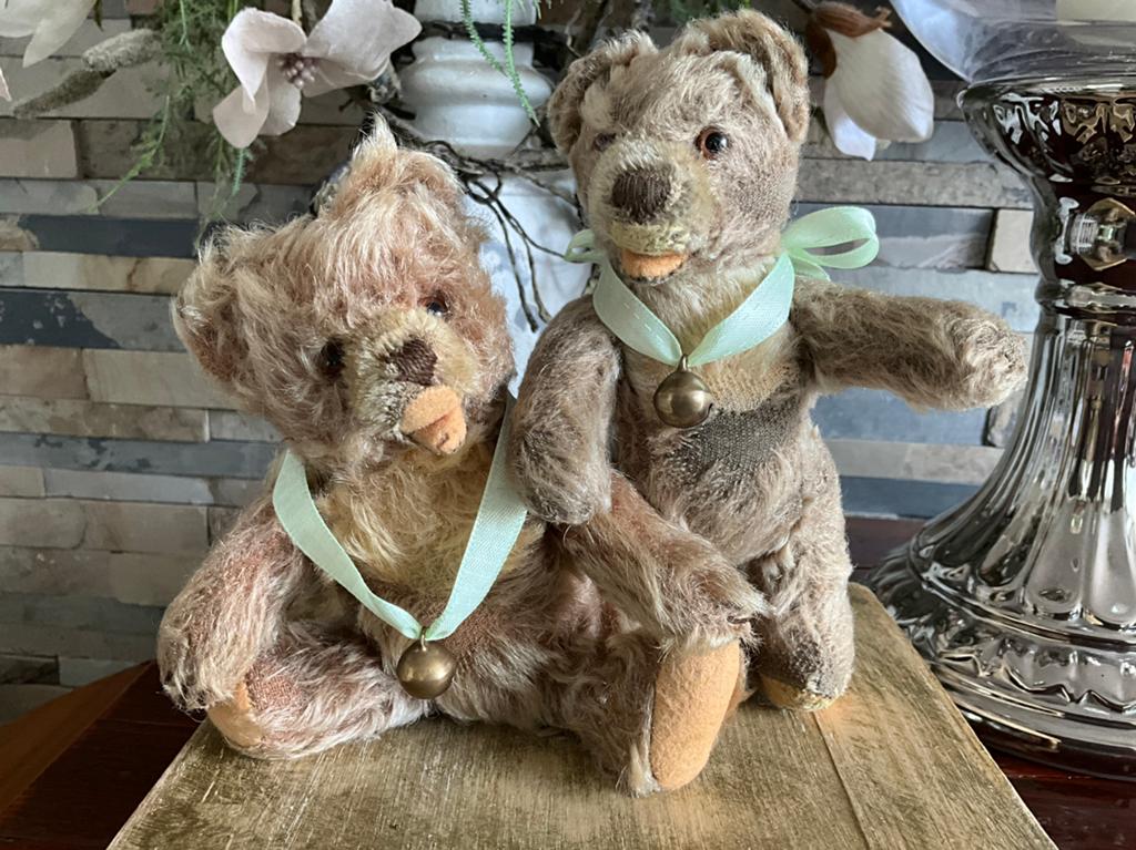 2 lieve steiff beren 2 kleurig, Ophalen of Verzenden