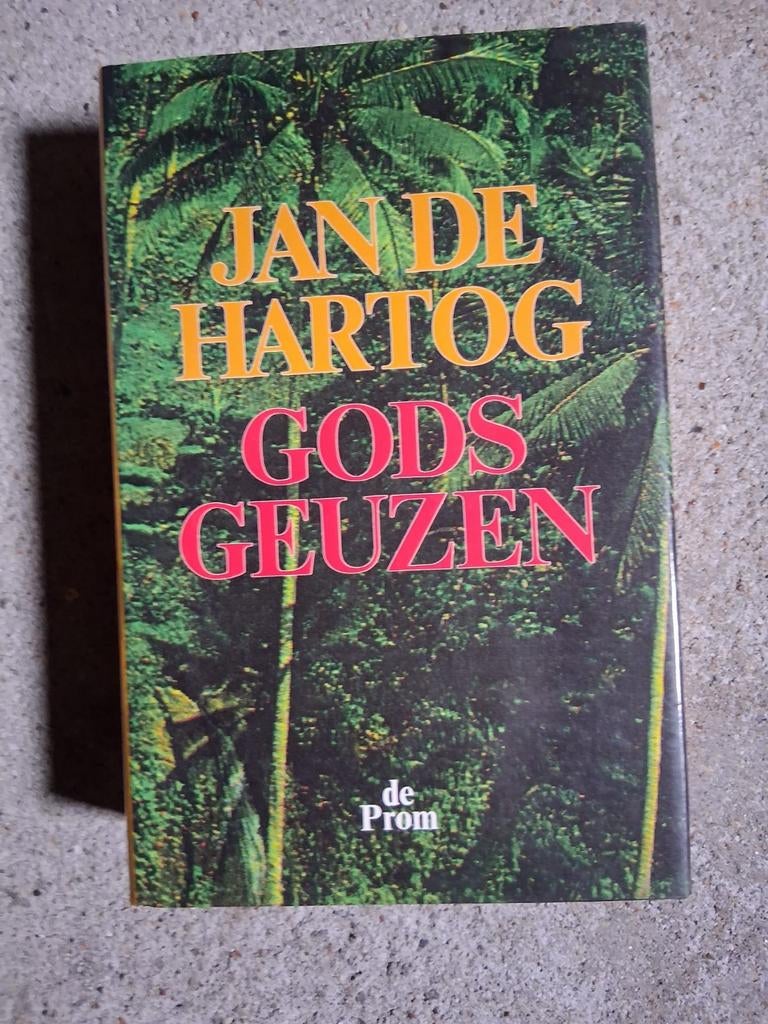 Gods Geuzen, Boeken, Ophalen of Verzenden, Zo goed als nieuw
