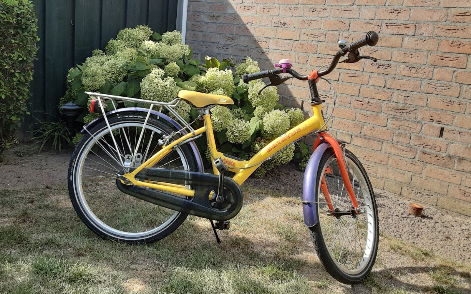 Batavus Koala Kinderfiets  22 inch - Geel/Oranje/Paars, Ophalen, Gebruikt, Batavus, Terugtraprem