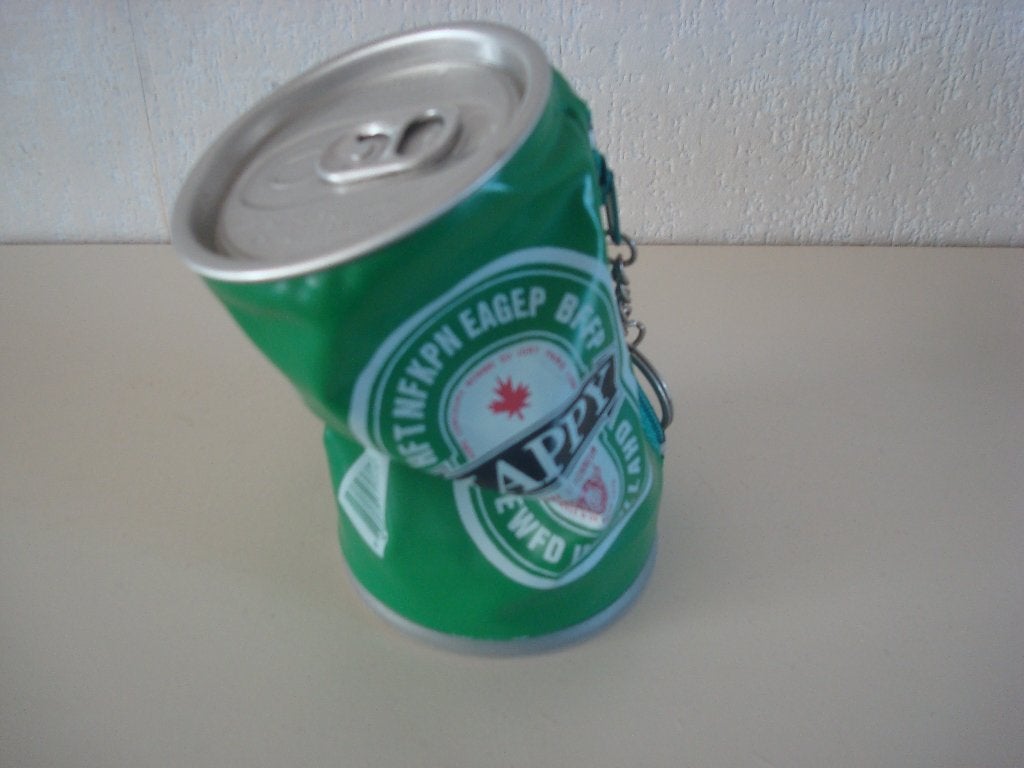 Flexibel  Heineken opbergtasje model blik, Verzamelen, Ophalen of Verzenden, Nieuw, Heineken