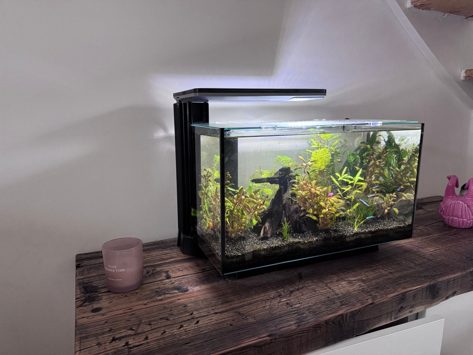 Superfisch aquarium 30 liter compleet met vissen, Ophalen, Zo goed als nieuw, Gevuld zoetwateraquarium
