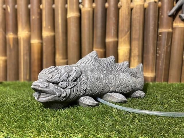 Dragonkoi