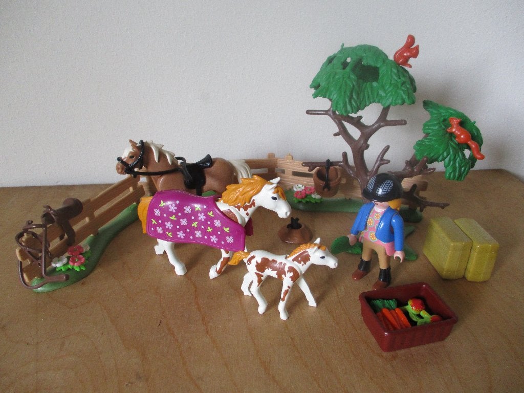 Playmobil 5227 paardenweide, Kinderen en Baby's, Ophalen of Verzenden, Gebruikt, Complete set, Figuren