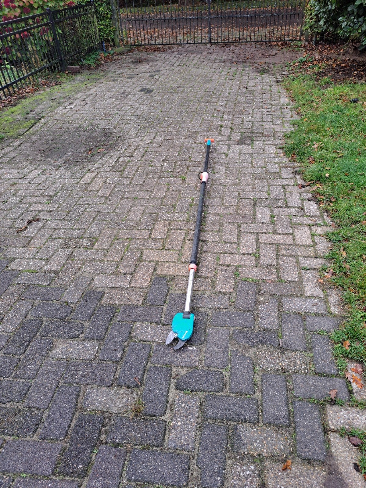 Snoei van vrijverplanten, Ophalen of Verzenden, Minder dan 20 mm
