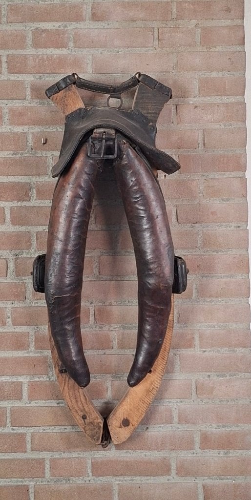 Paardenhaam, Dieren en Toebehoren, Ophalen, Gebruikt, Bruin, BR