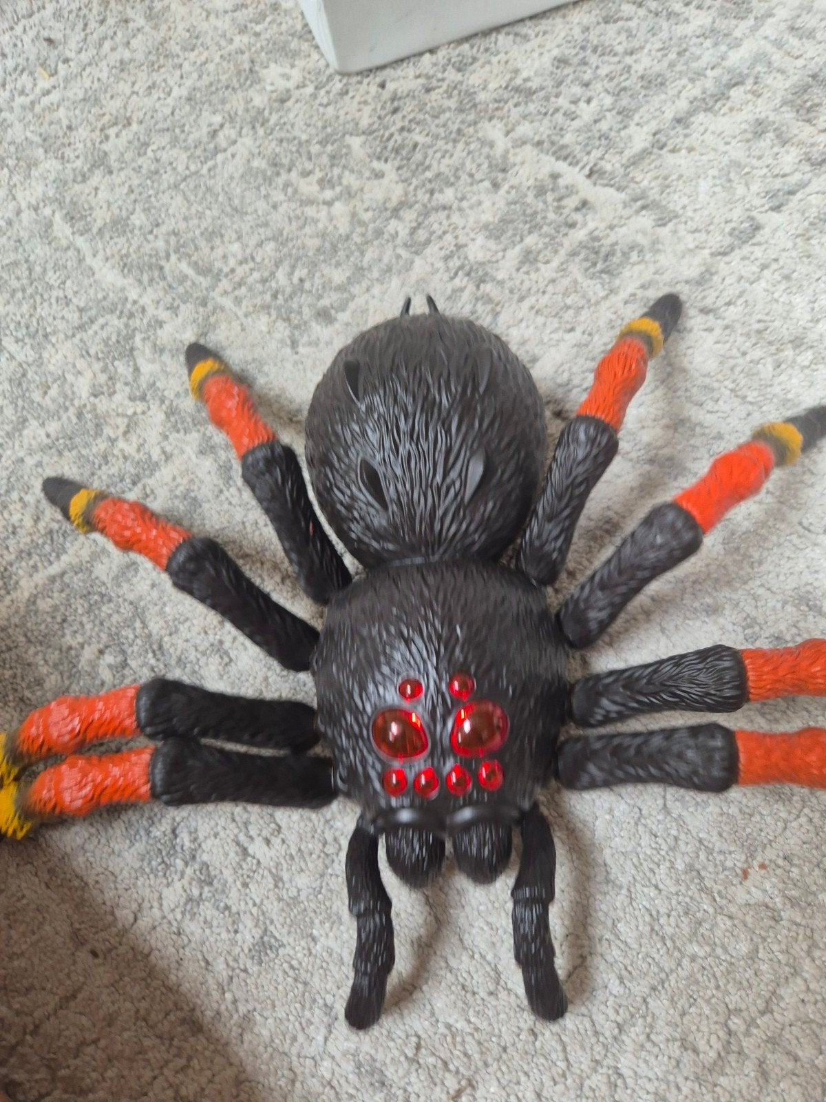 Grote speelgoed spin - Tarantula, Ophalen, Jongen of Meisje