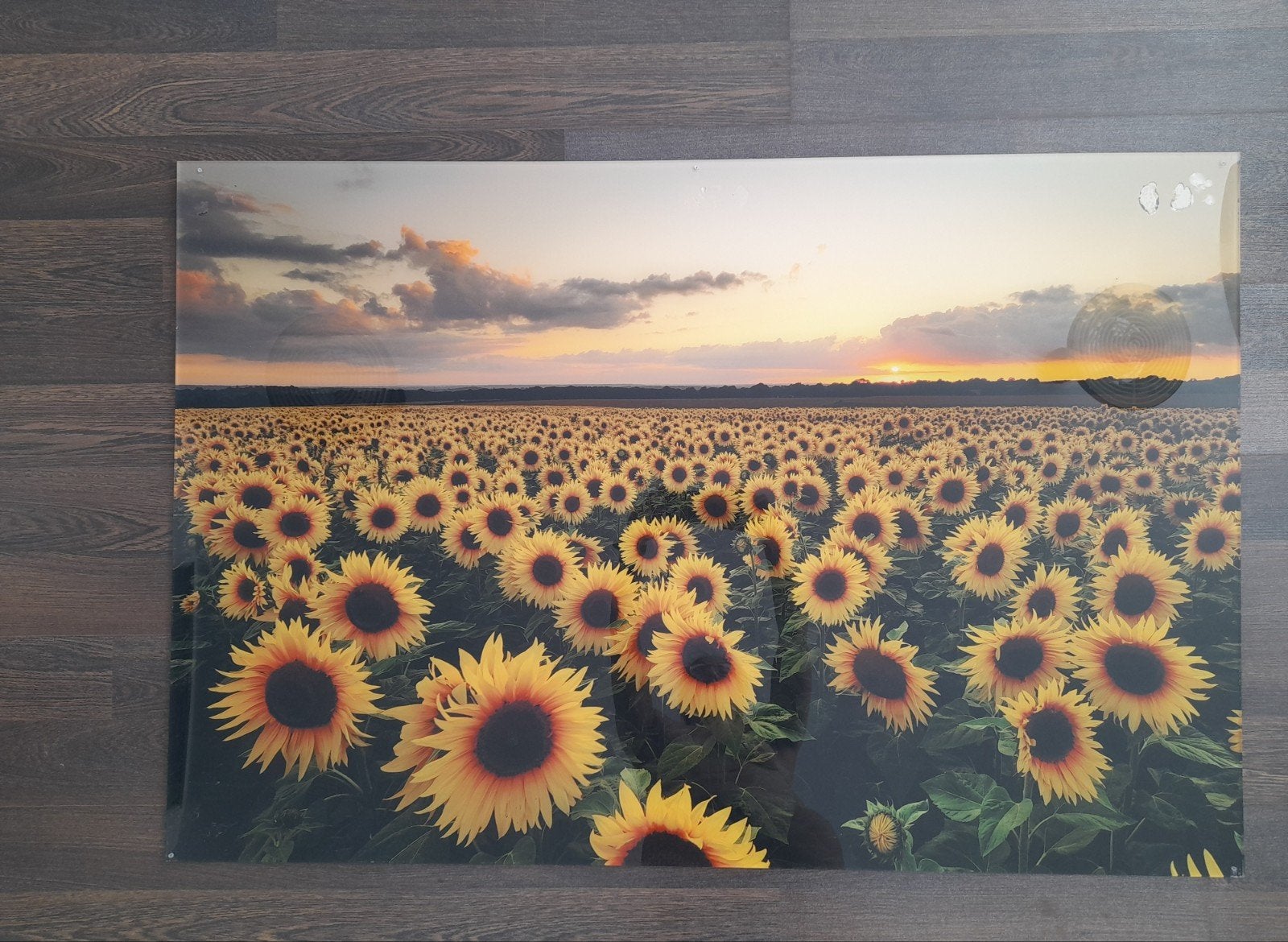 Wanddecoratie Zonnebloemveld bij zonsondergang, Ophalen, Gebruikt, Geel, Wandbord of Wandpaneel