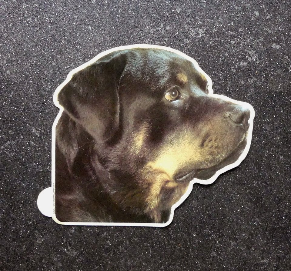 Introduct vintage sticker Rottweiler hondensticker, Ophalen of Verzenden, Nieuw, Sticker