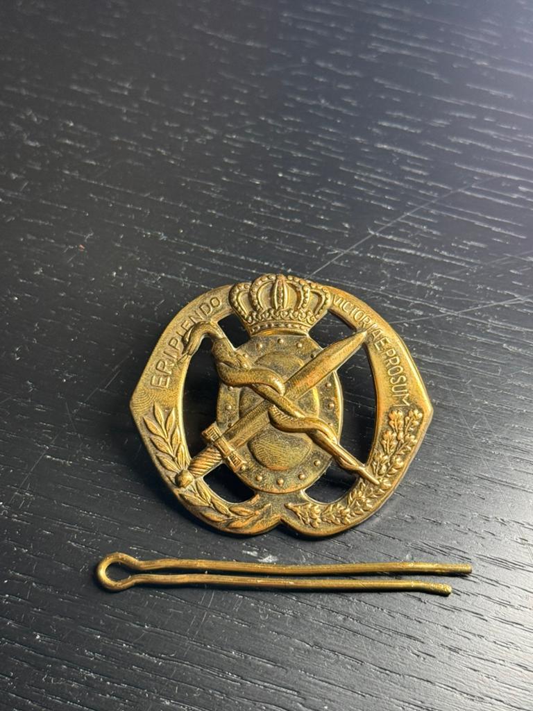 Baretembleem Geneeskundige Troepen Parree Horst, Verzamelen, Ophalen of Verzenden, Landmacht, Nederland, Embleem of Badge