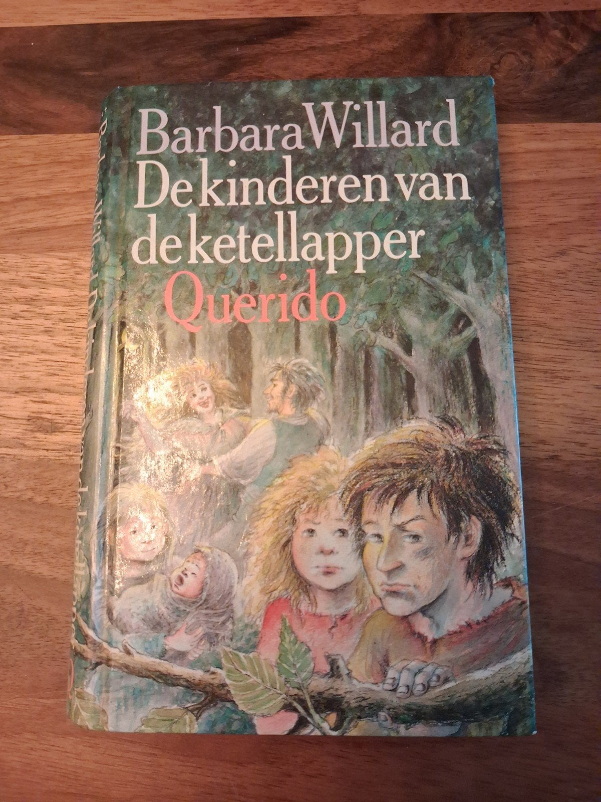 De Kinderen van de Ketellapper - Barbara Willard, Gelezen, Barbara Willard, Ophalen of Verzenden, Fictie
