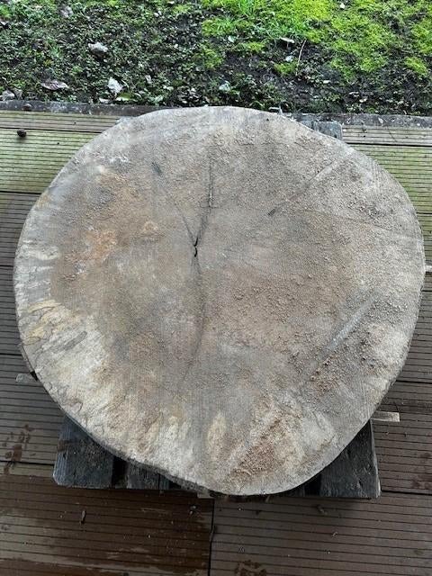 Unieke houten tafelblad van historische boom Dwars doorsnede, Ophalen, Rechthoekig, Overige houtsoorten, 100 tot 150 cm