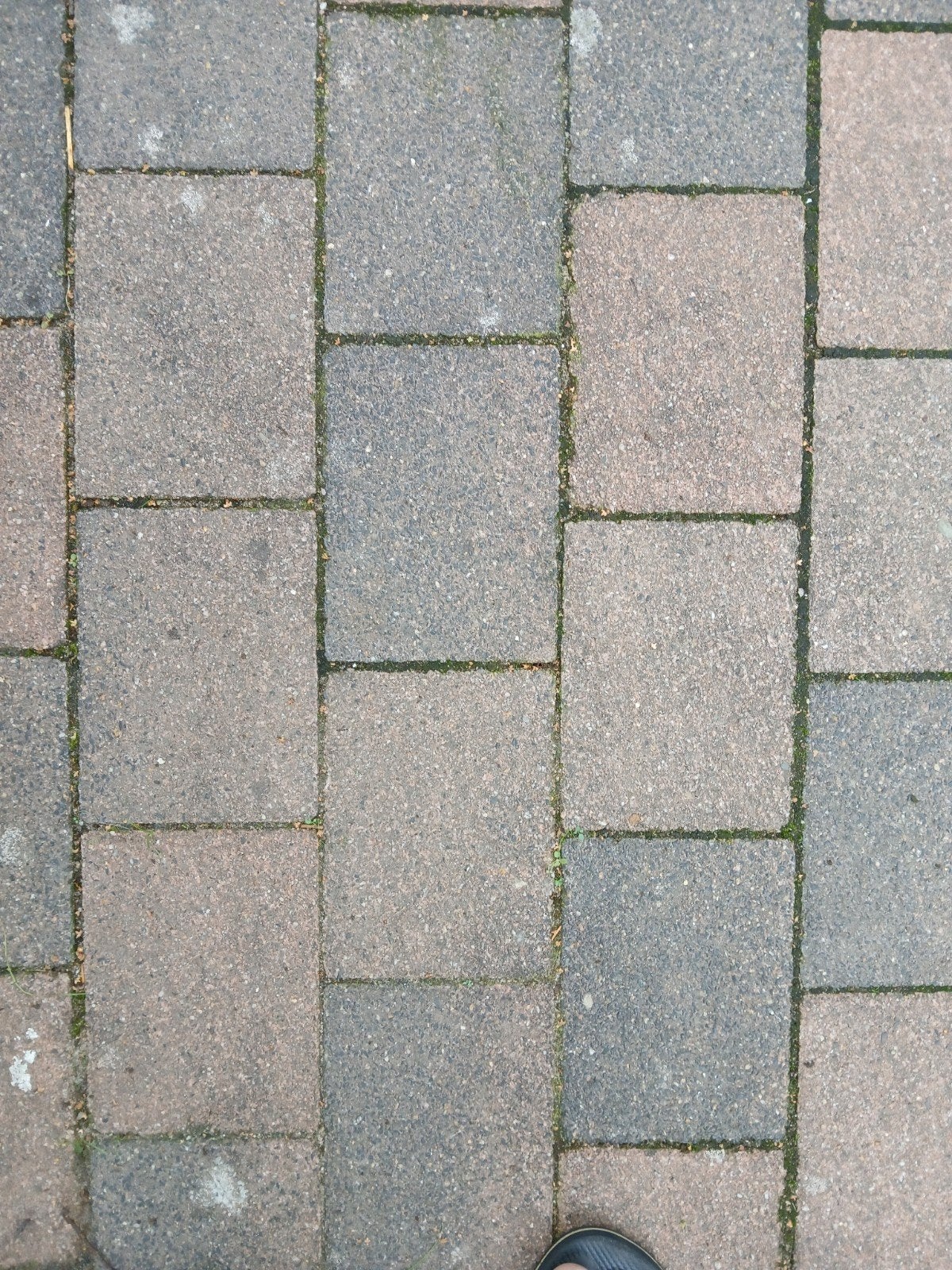 Gebruikte betonklinkers 20x15cm, ca. 16m2, Ophalen