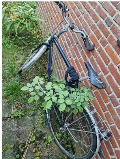 fiets, Gebruikt, Velgrem, Versnellingen, Ophalen