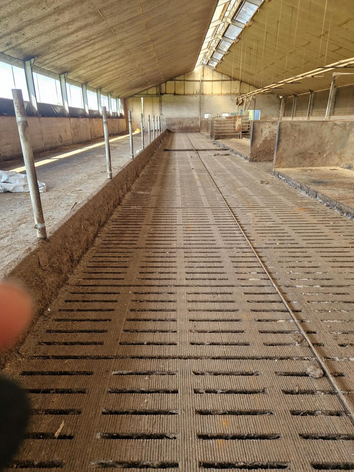 Roosters met boxdekken