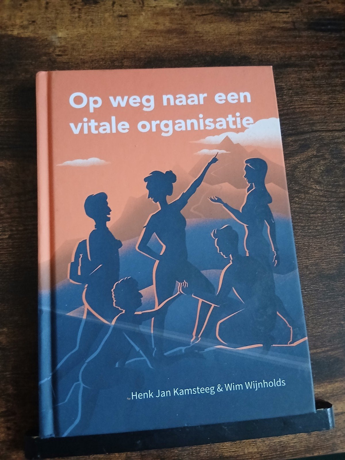 Op weg naar een vitale organisatie - Henk Jan Kamsteeg, Boeken, Ophalen of Verzenden, Zo goed als nieuw, Henk Jan Kamsteeg & Wim Wijnholds