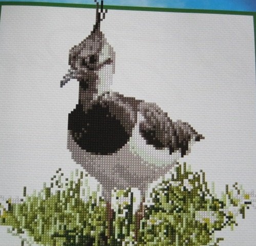 Borduurpatroon  Kievit  nr 5660, Verzenden, Nieuw, Handborduren, Patroon