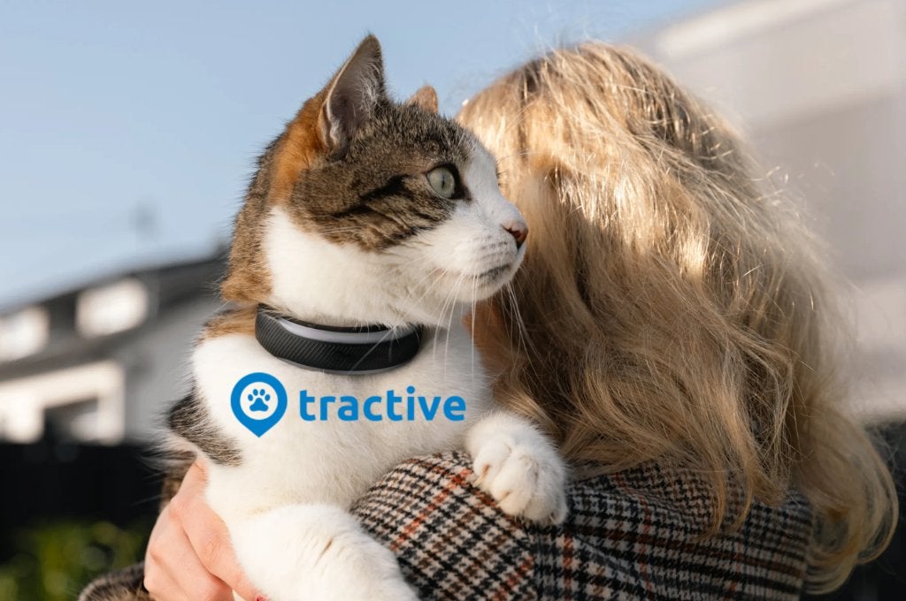 40% Korting Op Tractive Artikellen! CAT 6 Mini | DOG 6 (XL), Ophalen, Nieuw