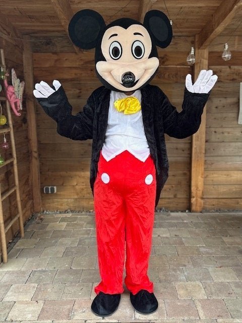 Te huur Mickey en Minnie samen 55 euro pst 30 euro enz enz, Hobby en Vrije tijd, Feestartikelen | Verhuur, Ophalen of Verzenden