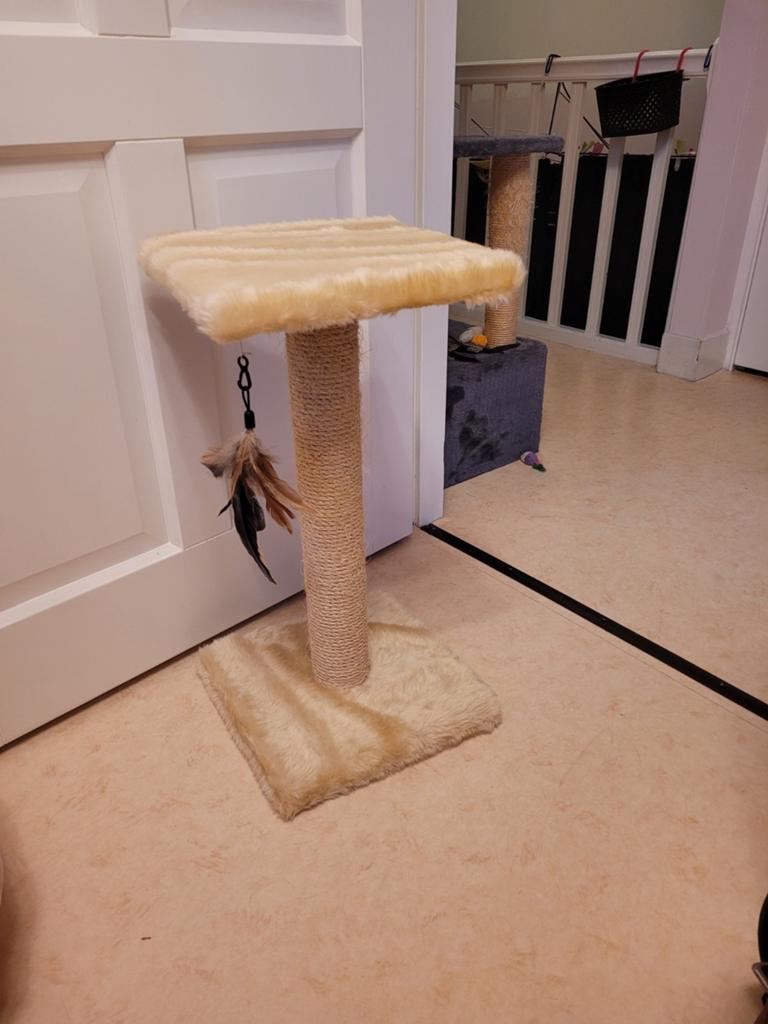kleine beige krabpaal voor kleine kat kitten, Ophalen of Verzenden, Nieuw, Krabpaal