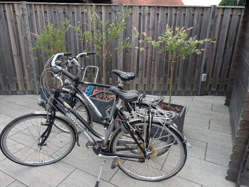 Gazelle dames en heren fiets opknapper, Fietsen en Brommers, Fietsen | Dames | Damesfietsen, Ophalen, Gebruikt, Gazelle