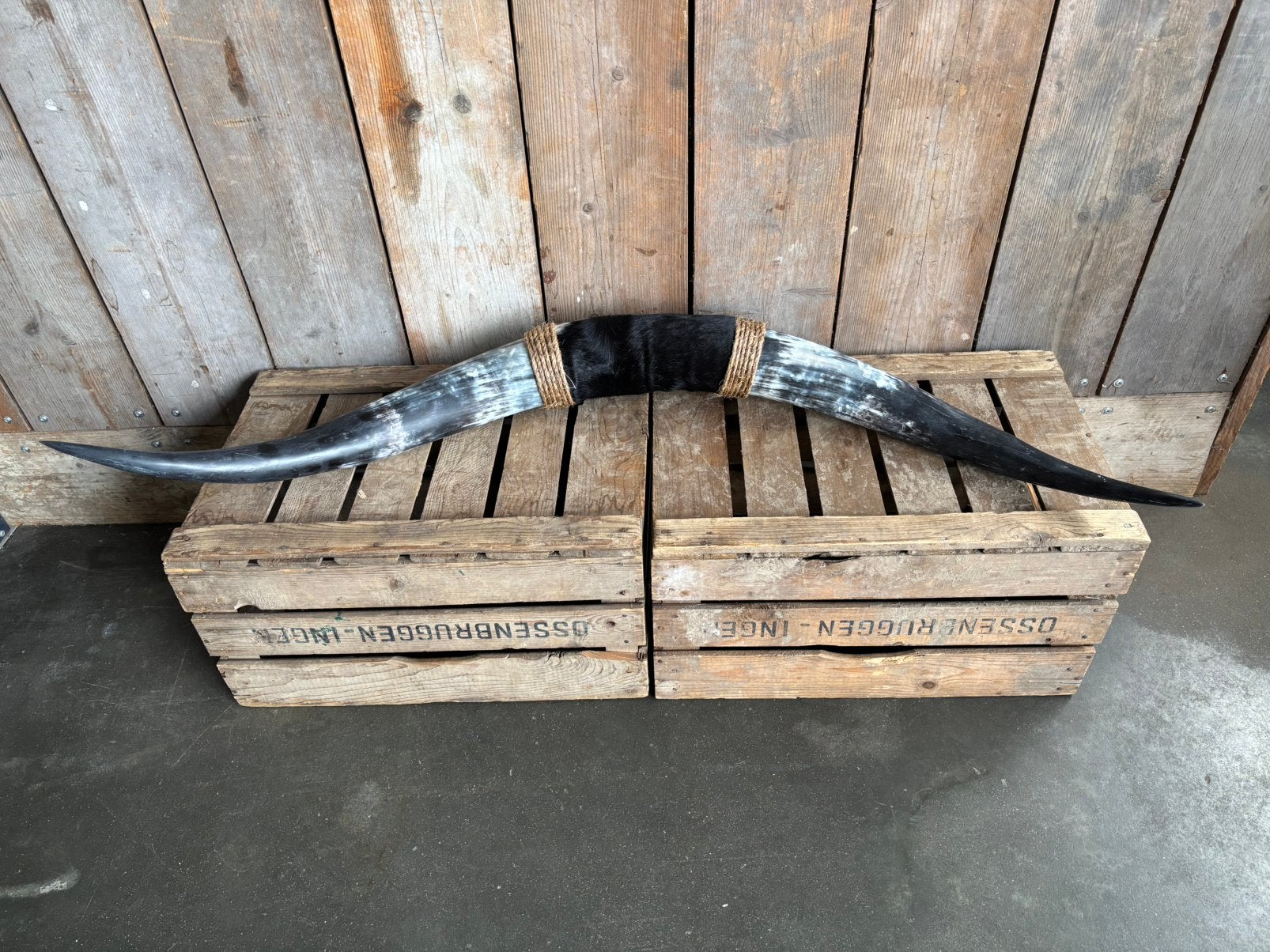 Mooie stoere Bullbar! (6), Verzamelen, Ophalen, Nieuw, Overige soorten, Overige typen