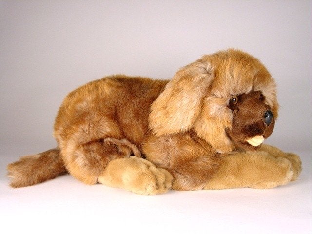 Nieuwe Piutrè Leonberger knuffel, 45 cm, Nieuw, Middelgroot (20 tot 80 cm), Bruin, Hond